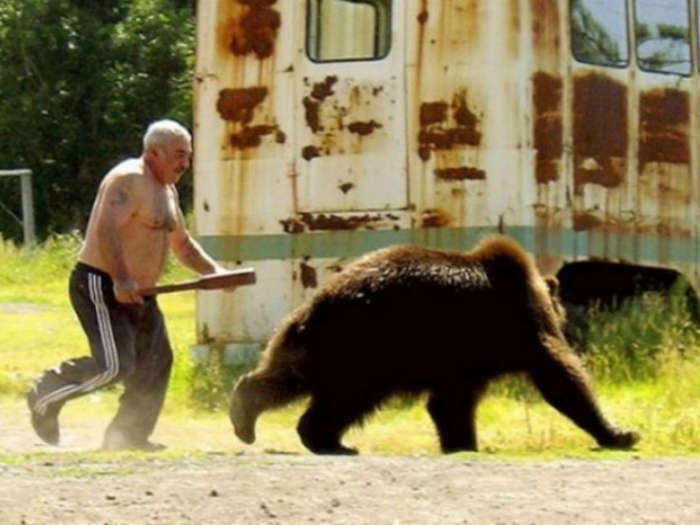 Мужчина прогоняет медведя, который забрался к нему на участок